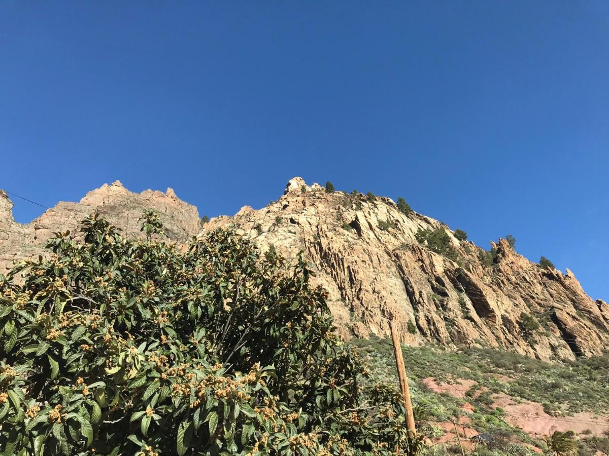 Finca La Sabina Risco Blanco Dış mekan fotoğraf